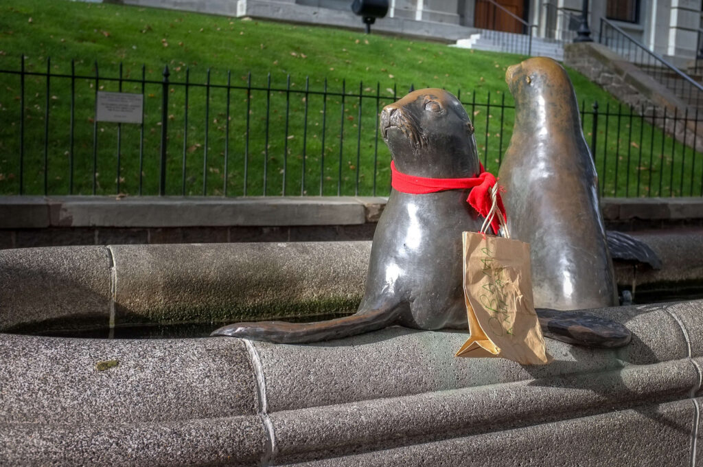 Downtown Seals