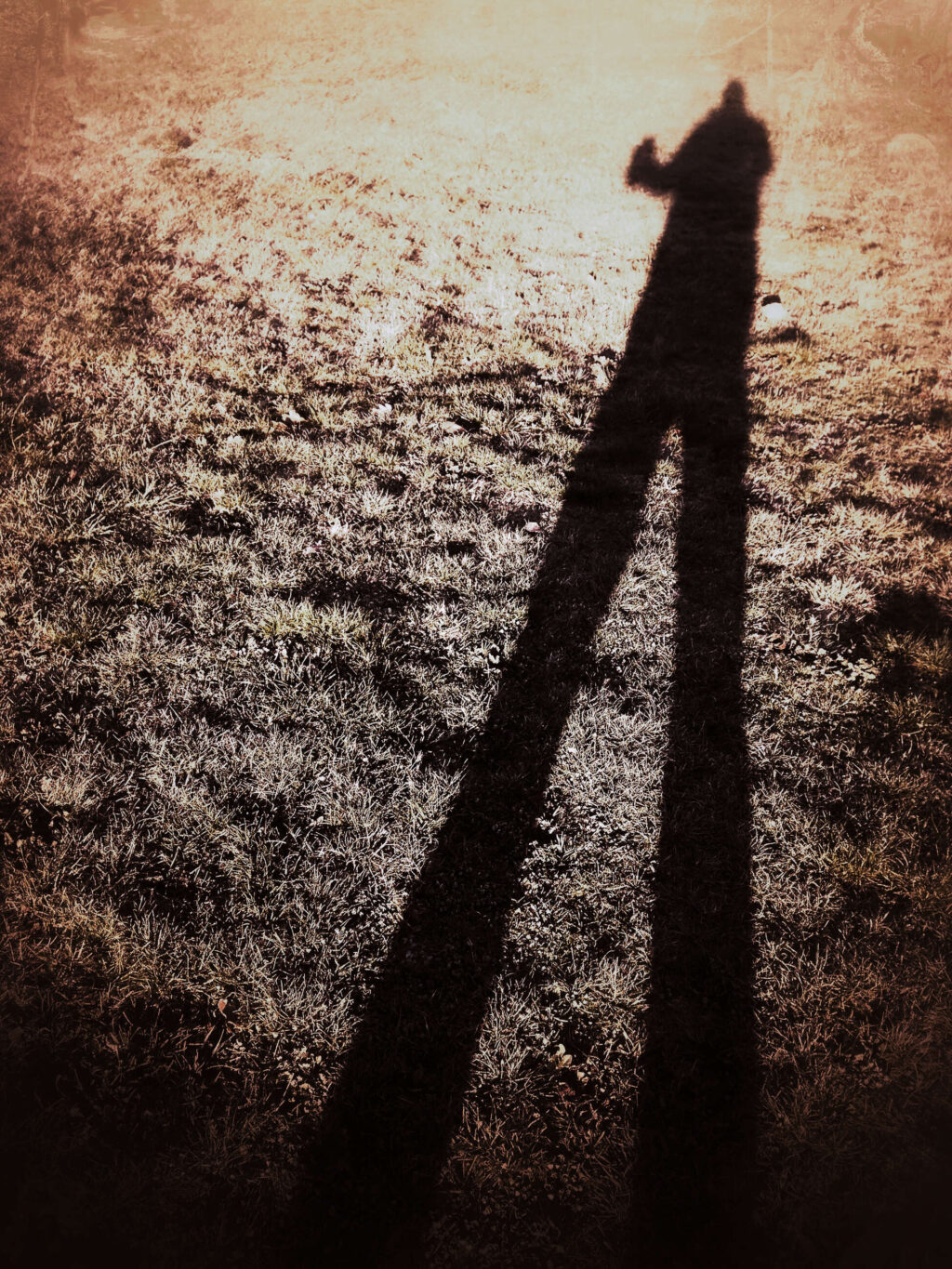 Cold Morning Shadow